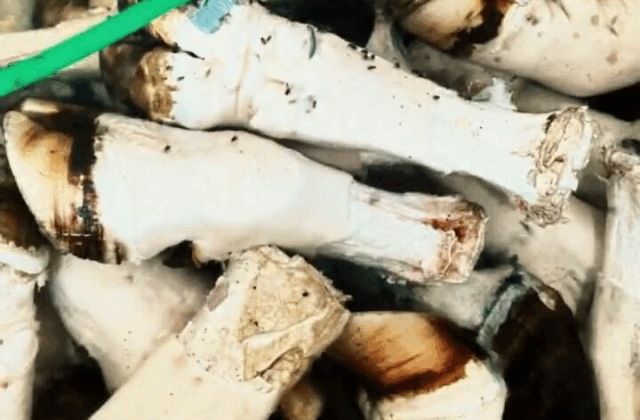 At ve eşek eti skandalını çok duymuştuk: Mide bulandıran rezalet