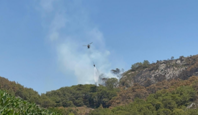 Antalya'daki orman yangınlarında 52 hektarlık alan zarar gördü