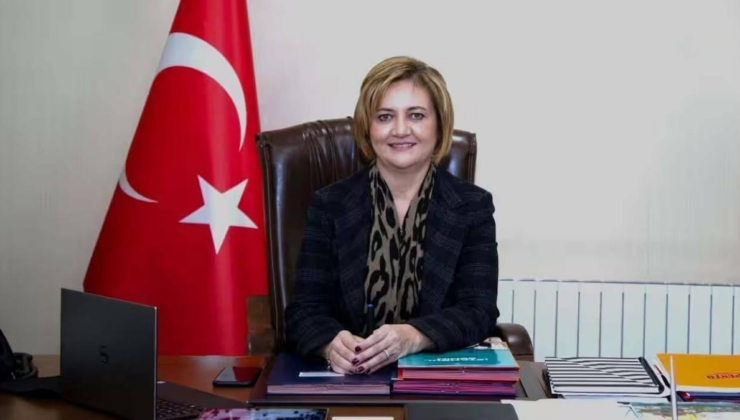 İpek Elif Atayman'dan AYM'ye başvuru