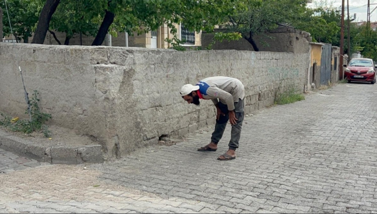 Bu da Suriyeli Zübük!