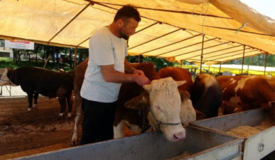 81 ile acil kodlu yazı: Tüm hayvan pazarları kapatıldı