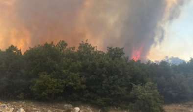 Bir yangın da Eskişehir'de başladı