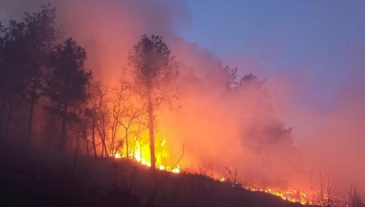 Bilecik, İzmir ve Hatay'da yangından etkilenenlere 12,3 milyon TL'lik destek