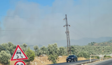 Çeşme'den sonra Bodrum'da yangın başladı