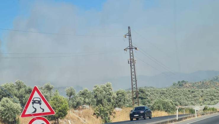 Çeşme'den sonra Bodrum'da yangın başladı