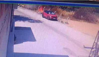 Buca’daki orman yangınının çıkış anı kamerada: Bir kıvılcım felaketi başlattı
