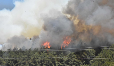 Buca'da ormana yakın evler boşaltılıyor
