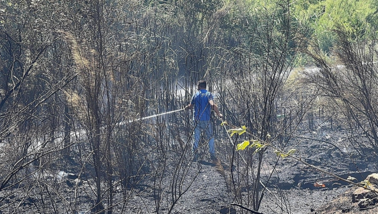 Sakarya’da çıkan orman yangını kontrol altına alındı