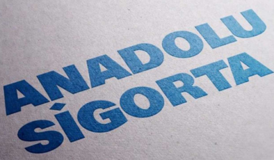 Fitch, Anadolu Sigorta’nın kredi notunu teyit etti