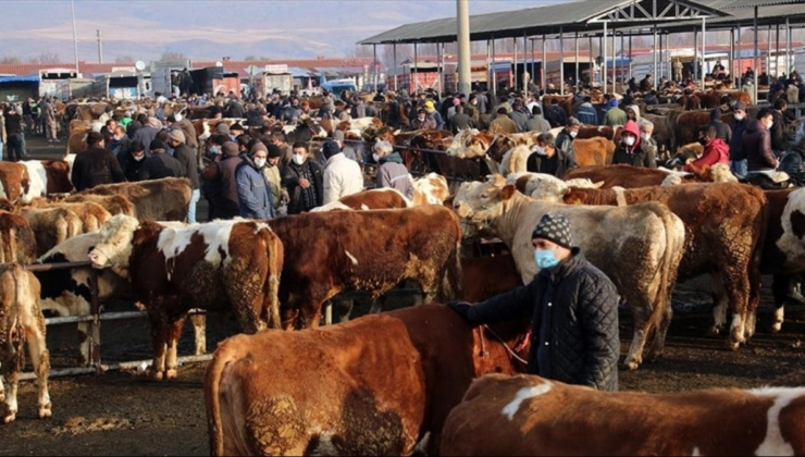 Bakanlıktan 81 ile ‘Acele’ kodlu yazı: Tüm hayvan pazarları kapatıldı