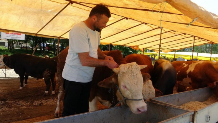 Acil kodlu yazı gönderildi: Ülke genelinde tüm hayvan pazarları kapatıldı