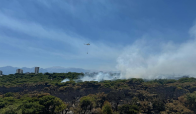 Antalya ve Çanakkale'deki yangınlar kontrol altına alındı
