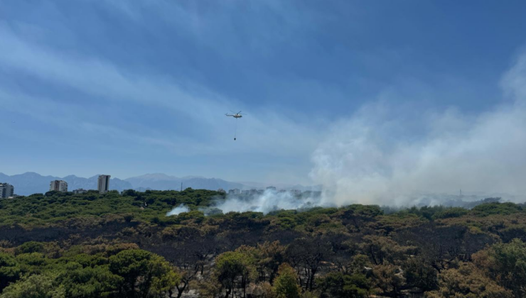 Antalya ve Çanakkale'deki yangınlar kontrol altına alındı