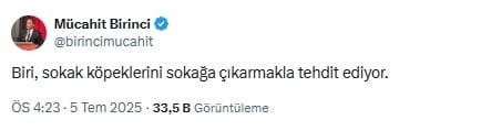 AKP'li isimden skandal ifadeler: 'Sokak köpekleri'
