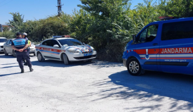 Hayvan parkından kaçan aslan etkisiz hale getirildi