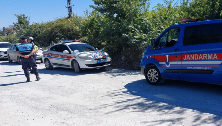 Hayvan parkından kaçan aslan etkisiz hale getirildi