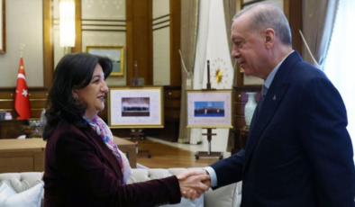 İmralı heyeti-Erdoğan görüşmesi yarın