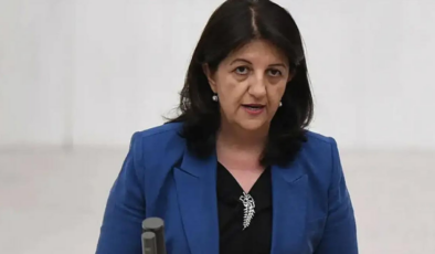 Son dakika: DEM Parti İmralı heyetinden 'yeni bir aşamaya geçildi' vurgusu