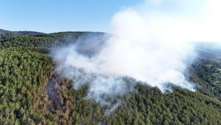 Ilgaz'daki orman yangını kontrol altına alındı