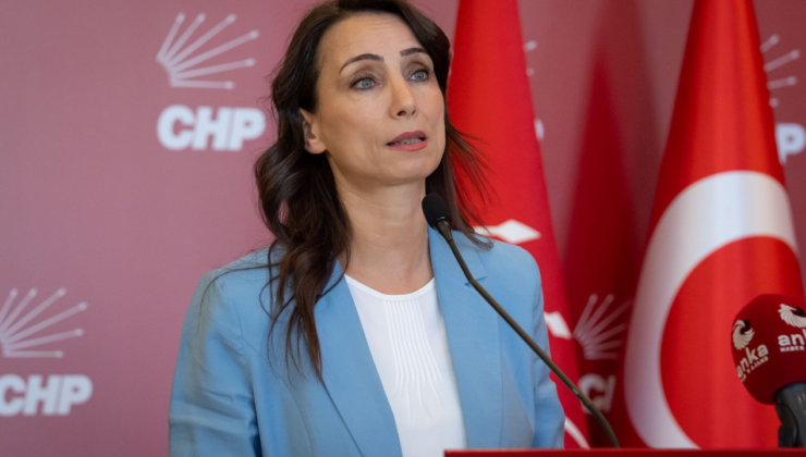 DEM Partili Hatimoğulları: Herkes hakkında soruşturma başlatılabilir