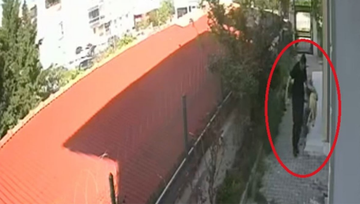 'Türkiye tarihinin gördüğü ilk seri hayvan katili' Sapık doktorun ifadeleri 'pes' dedirtti!