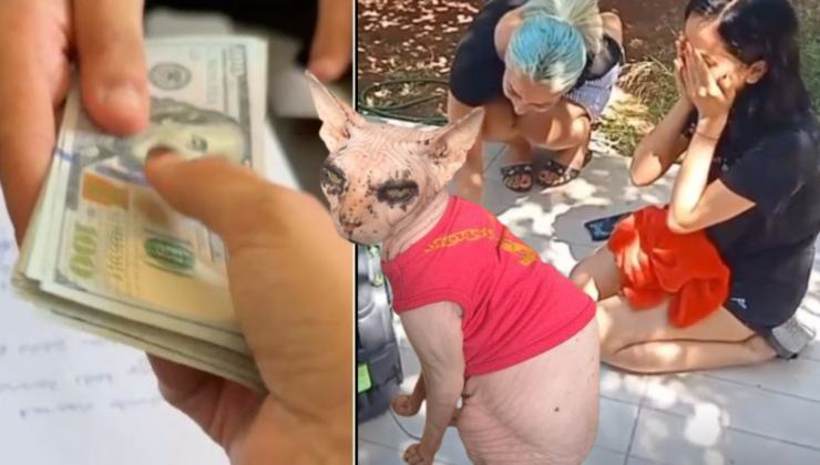 Bulan gence 2 bin dolar ödül verdi