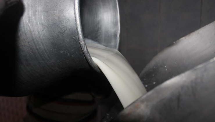 Haksız fiyatlandırma yapan süt şirketlerine 58,3 milyon lira ceza