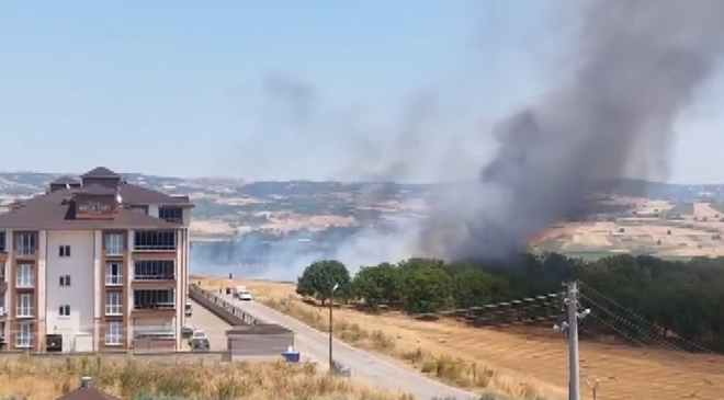 Bursa'da yürekleri ağza getiren anız yangını