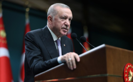 Cumhurbaşkanı Erdoğan, Avusturya Başbakanı Stocker ile görüştü
