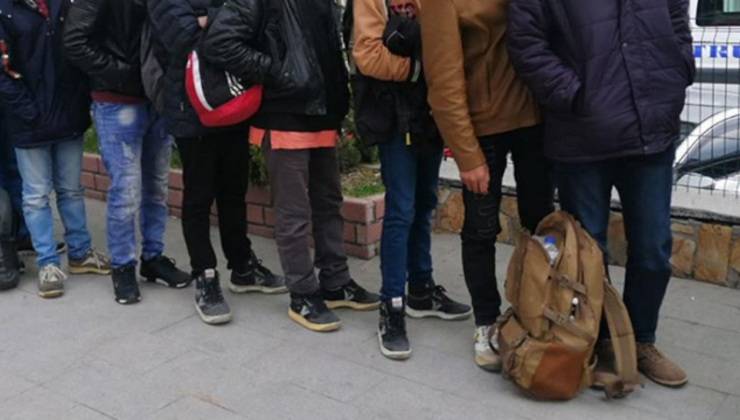 Edirne'de 6 kaçak göçmen yakalandı