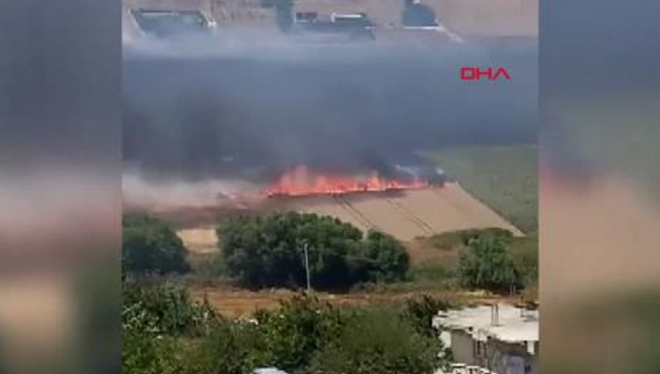 Büyükçekmece'de buğday tarlasında yangın