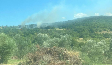 Çanakkale'de ciğerlerimiz sigara izmaritiyle yanmış!