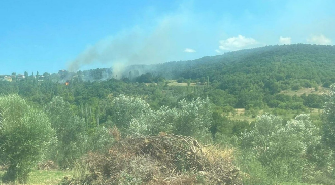 Çanakkale'de ciğerlerimiz sigara izmaritiyle yanmış!
