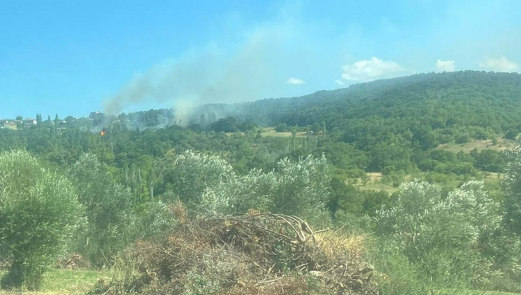 Çanakkale'de ciğerlerimiz sigara izmaritiyle yanmış!
