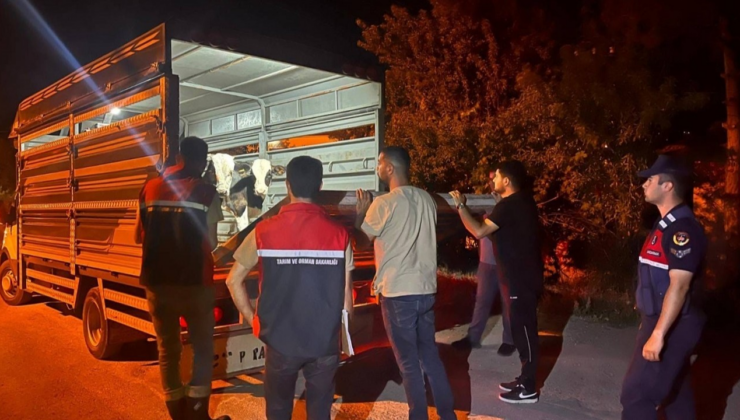 Şap karantinasındaki köyden hayvan sevk eden besiciye ceza