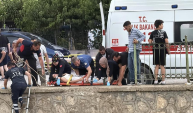 Kediye yardım etmek isteyen kadın, kanala düştü