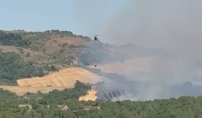 Balıkesir Manyas'ta ormanlık alanda yangın!