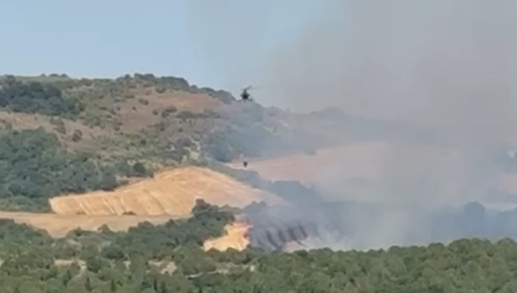 Balıkesir Manyas'ta ormanlık alanda yangın!