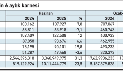Otomotiv pazarı ithalata çalışıyor