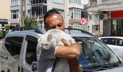 Kayıp kedisine 10 bin TL ödül koymuştu, bu kez mutluluktan ağladı