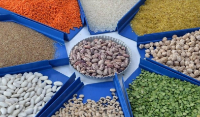 Güneydoğu'nun Afrika ülkelerine hububat ihracatı yüzde 32,9 arttı