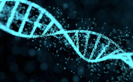Bilim insanları 24 milyon yıllık gergedan fosilinden protein çıkardı