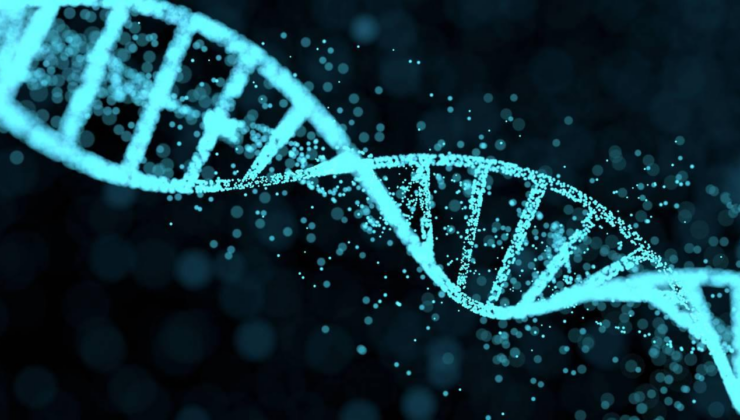 Bilim insanları 24 milyon yıllık gergedan fosilinden protein çıkardı