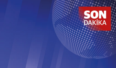 Son dakika: Faladdin ve Binnaz uygulamalarına soruşturma! Sertaç Taşdelen'in mal varlıklarına el konuldu