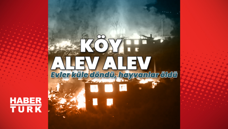 Bolu'da köyde büyük yangın! Evler küle döndü, hayvanlar öldü