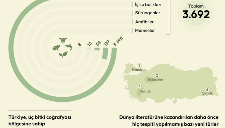 Türkiye'de 3 bin 692 endemik tür tespit edildi: Ulusal biyolojik çeşitlilik verisi 2 milyona dayandı