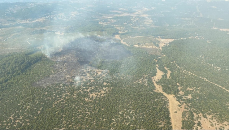 Muğla’da orman yangını: Sebebi belli oldu