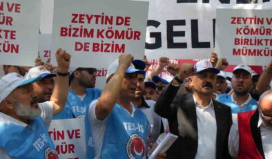 Maden yasasına destek: Köylerimiz ve zeytinlerimiz yok olmayacak