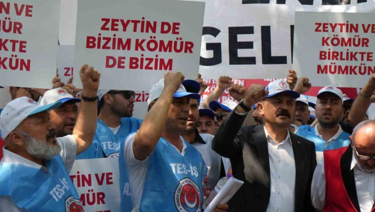 Maden yasasına destek: Köylerimiz ve zeytinlerimiz yok olmayacak