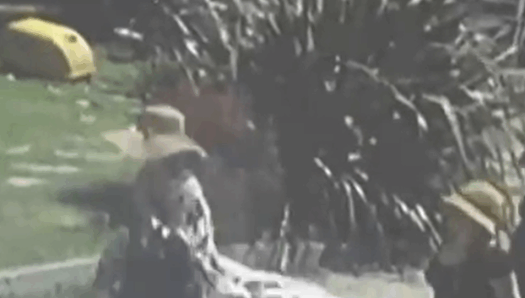 Ünlü profesörün evinde film gibi soygun: Yarım milyonluk vurgun yaptılar